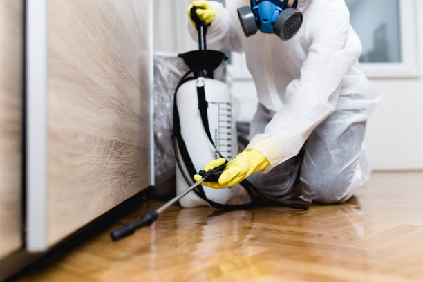 Best Affordable Pest Control Services  in Eton, GA