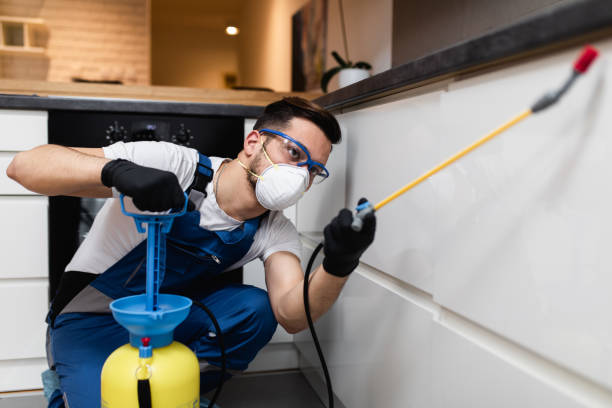 Best Pest Prevention Services  in Eton, GA