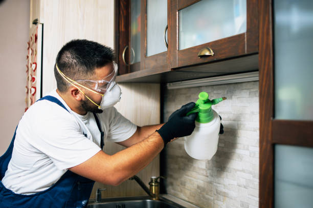 Best Emergency Pest Control  in Eton, GA