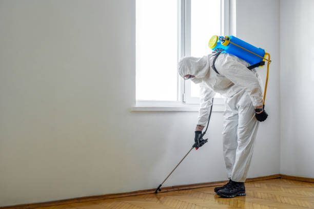 Best Wildlife Control Services  in Eton, GA