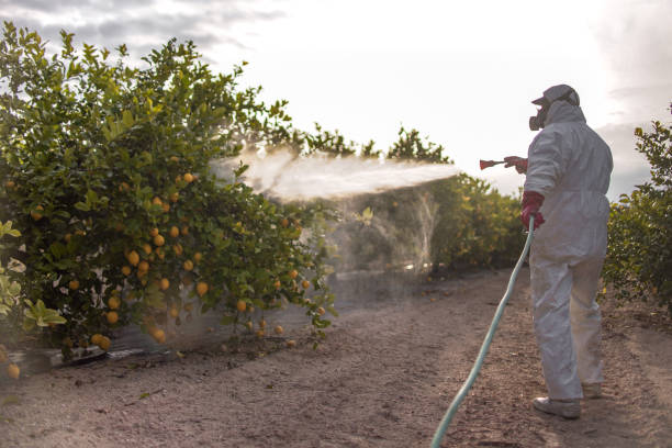 Eton, GA Pest Control Company