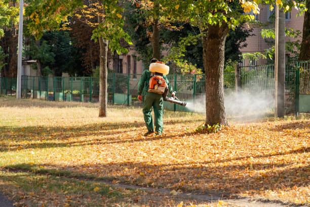 Best Pest Removal Services  in Eton, GA