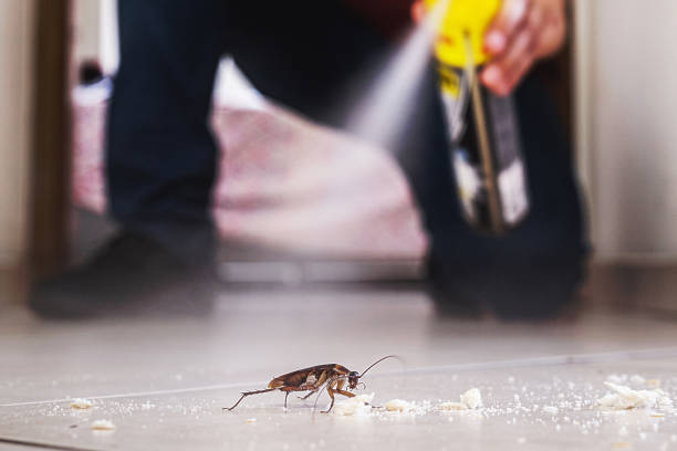 Best Local Pest Control Services  in Eton, GA